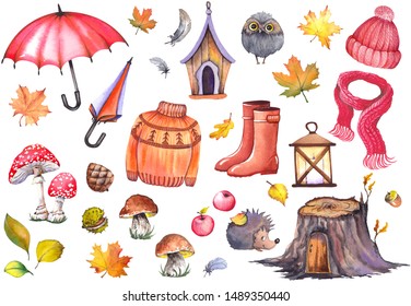 Autumn illustration of umbrellas, knitwear clothing, rubber boots, apples, mushrooms, cute owl, hedghog and colorful leaves. Watercolor isolated on white background.