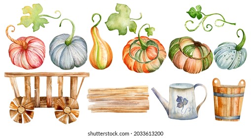 Autumn Illustration. Watercolor Set Of Pink, Blue, Orange And Green Pumpkins, Pumpkin Leaves, Wooden Cart, Watering Can And Wooden Bucket. Harvest, Thanksgiving, Autumn.