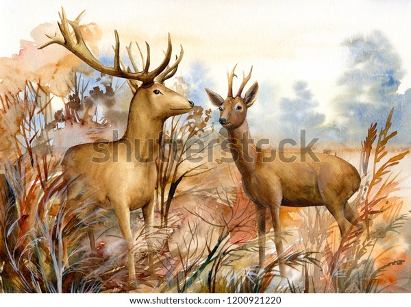 秋の風景 森の動物 森の中の2頭の鹿 水彩イラスト のイラスト素材 1200921220