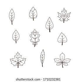 Botanic Plants Eco Black Icons Set Stock Vector (Royalty Free ...