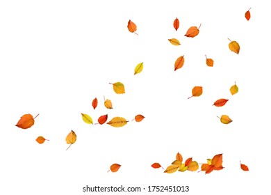 20,917 Clip art fall leaves Images, Stock Photos & Vectors | Shutterstock