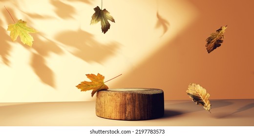 Autumn leaves with a round wooden podium - 3D render - Powered by Shutterstock