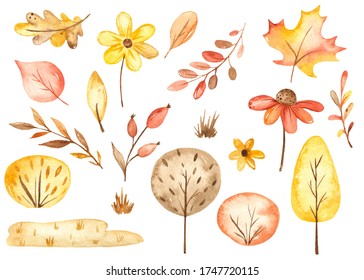 Autumn Leaves, Trees, Berries, Flowers, Branches. Watercolor Set. Clipart Plants
