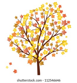 Autumn Maples Tree Falling Leaves Stock Illustration 112546646 ...