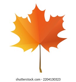 Autumn Orange Maple Leaf Isolated On A White Square Background. Individual Element. Autumn. 