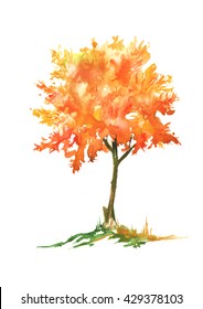 Autumn, Orange, Red Tree Watercolor. On An Isolated White Background