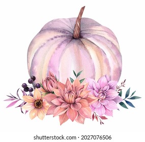 Autumn pumpkin and flowers white background  Pink pumpkin  Watercolor illustration 