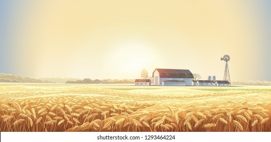 Autumn rural landscape with wheat field on the foreground and farm, on the back plan.