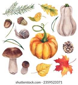 Autumn set of maple, birch, aspen, oak leaves, acorns, porcini mushrooms, pumpkins, snails, pine cones and fir branches. Watercolor illustration. Thanksgiving day. Holidays - Powered by Shutterstock