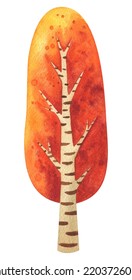 Autumn Tree Watercolor Clipart. Illustration Of An Autumn Deciduous Birch Tree With Orange Foliage. A Plant For The Autumn Landscape Of The Park And Forest. Isolated Hand Painted Image