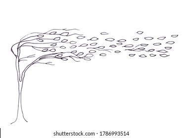 Falling Leaves Drawing Images Stock Photos Vectors Shutterstock
