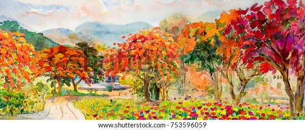 Autumn trees, watercolor landscape red, orange and yellow color of Peacock flowers and leaf, in morning blue sky.