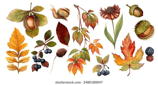 Autumn vibes watercolor set of leaves. Isolated floral illustration of vivid detailed hand drawn botanical art. Gold fall clip art for package design, collage, greeting card and seasonal invitation.  - Powered by Shutterstock