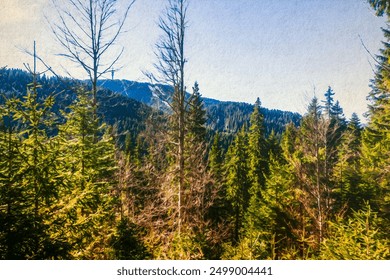 autumn view from a mountain with a pine forest