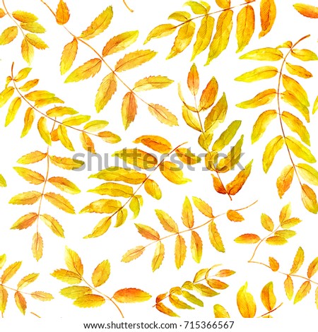 Similar – Yellow autumn leaves pattern on white