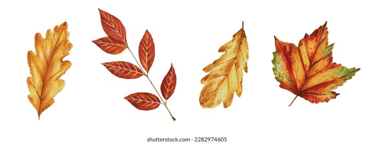 Autumn watercolor leafs isolated