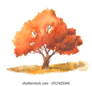 Autumn Watercolor Orange And Red Tree Isolated On White