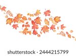 Autumnal foliage fall and orange maple leaves flying in wind motion blur. Watercolor autumn falling leaves on blow on transparent background.