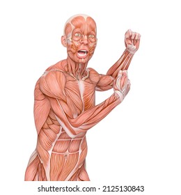 Average Man Muscle Maps Is Dancing And Doing Funny Face, 3d Illustration