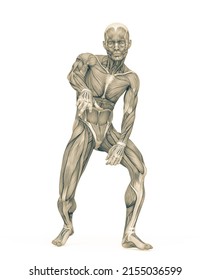 Average Man Muscle Maps Is Doing A Hiphop Pose, 3d Illustration