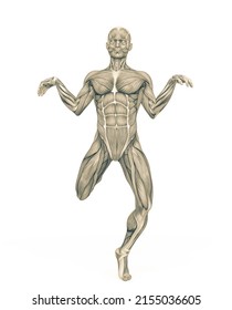 Average Man Muscle Maps Is Doing A Funny Pose, 3d Illustration