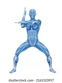 Average Man Muscle Maps Is Doing A Karate Pose, 3d Illustration