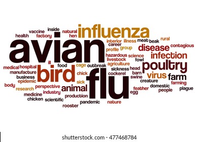 Avian Flu Word Cloud Concept