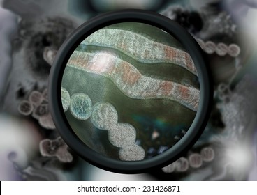 Avian Virus Under Microscope