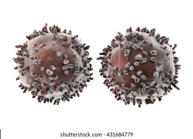 B- And T-lymphocytes. Immune Cells Isolated On White Background. 3D Illustration