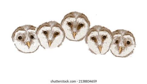 Baby Barn Owls Are Seen Lined Up, Eyes Wide Open In A 3-d Illustration.