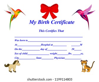 Baby Birth Certificate