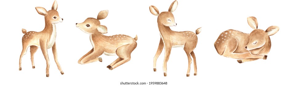 Baby Deer Watercolor Illustration Woodland, Fawn Forest Animals For Nursery And Baby 