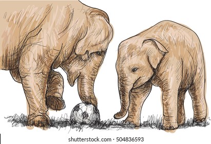 Baby Elephant Playing Football, Sketch And Free Hand Draw Illustration 
