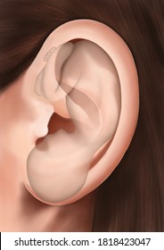 A Baby Foetus Within A Ear To Show The Points Of Ear Acupuncture That Relate To A The Human Body