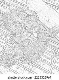 Baby Parrots Sketch Illustration Abstract 