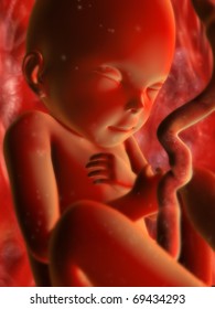 Baby in Womb - Fetus