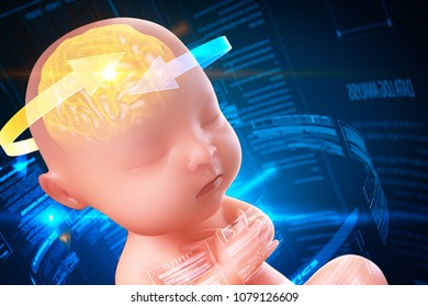 Babys Brain And Nervous System,3d Rendering Fetus With Brain X-ray Inside, 3d Illustration.