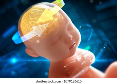 Babys brain and nervous system,3d rendering fetus with brain x-ray inside, 3d illustration.