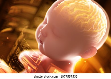 Babys Brain And Nervous System,3d Rendering Fetus With Brain X-ray Inside, 3d Illustration.