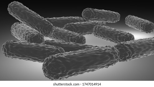 Bacillus Anthracis In 3d Illustration