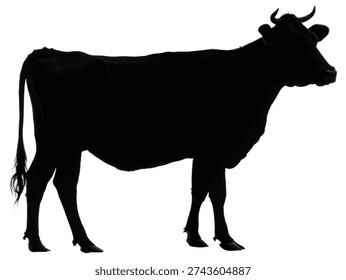 back cow silhouette vector image cow animal silho.