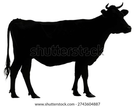 back cow silhouette vector image cow animal silho.