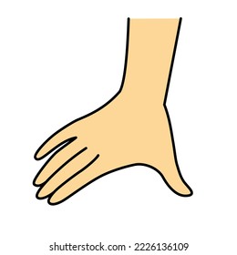 Back Of The Hand,  Hand Span, Illustration