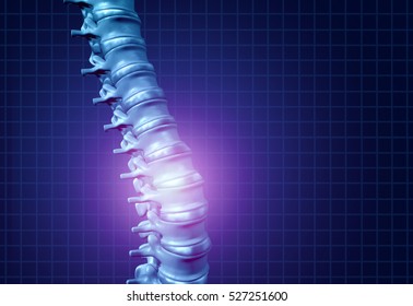 Back spine pain and human backache as a skeleton showing the spine and vertebral column in glowing highlight as a medical health care concept for spinal health and therapy as a 3D illustration.