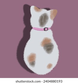 back view of a 3-colored fluffy kitten