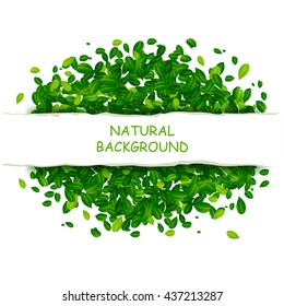 Backdrop with green leaves