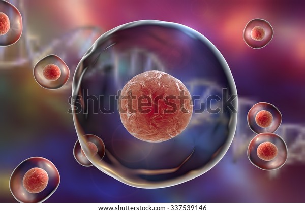 Background Cells Human Animal Cells On Stock Illustration 337539146