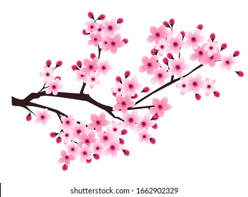 さくら イラスト Images Stock Photos Vectors Shutterstock