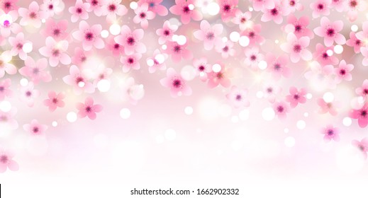 Blooming Cherry Spring Background Falling Sakura Stock Vector (royalty 