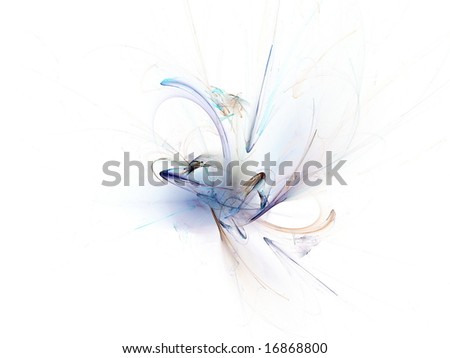 small blue geranium flower on natural black background